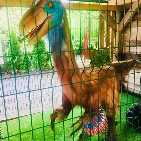 Baumhotel Styrassic Park Отель Бад Гляйхенберг