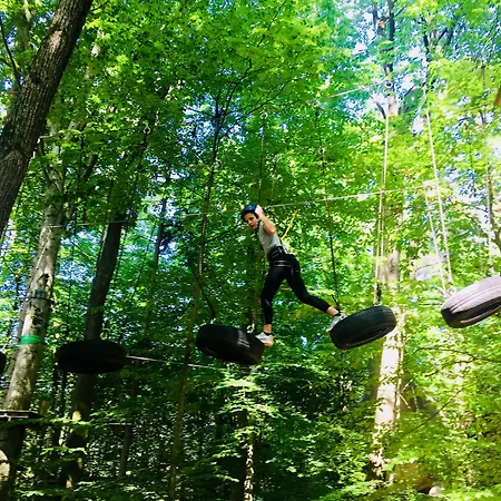 Baumhotel Styrassic Park 3* Бад Гляйхенберг