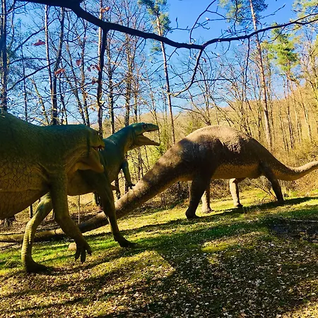 Отель Baumhotel Styrassic Park