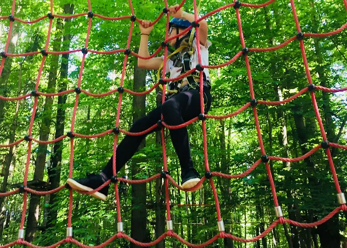 Baumhotel Styrassic Park فندق