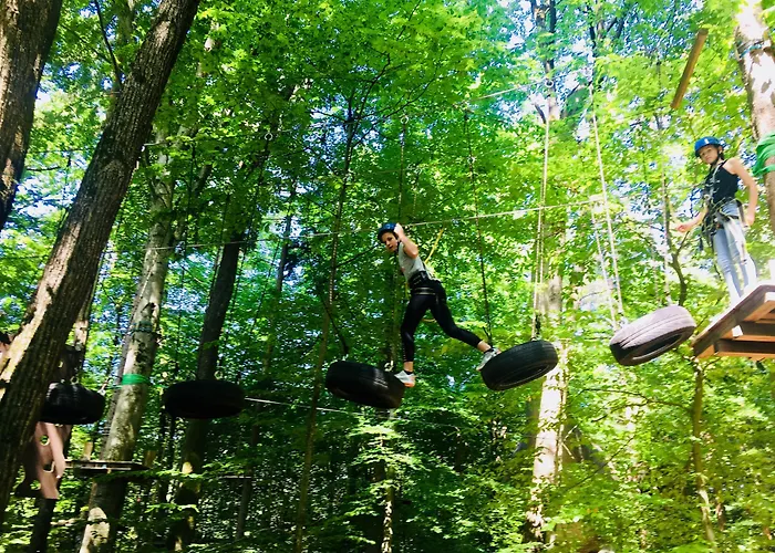 Baumhotel Styrassic Park 3* باد غليشنبرج